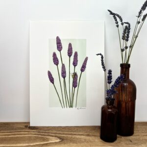 Original Artwork - Lavender in Watercolour