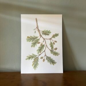 "Acorns" Autumn Print