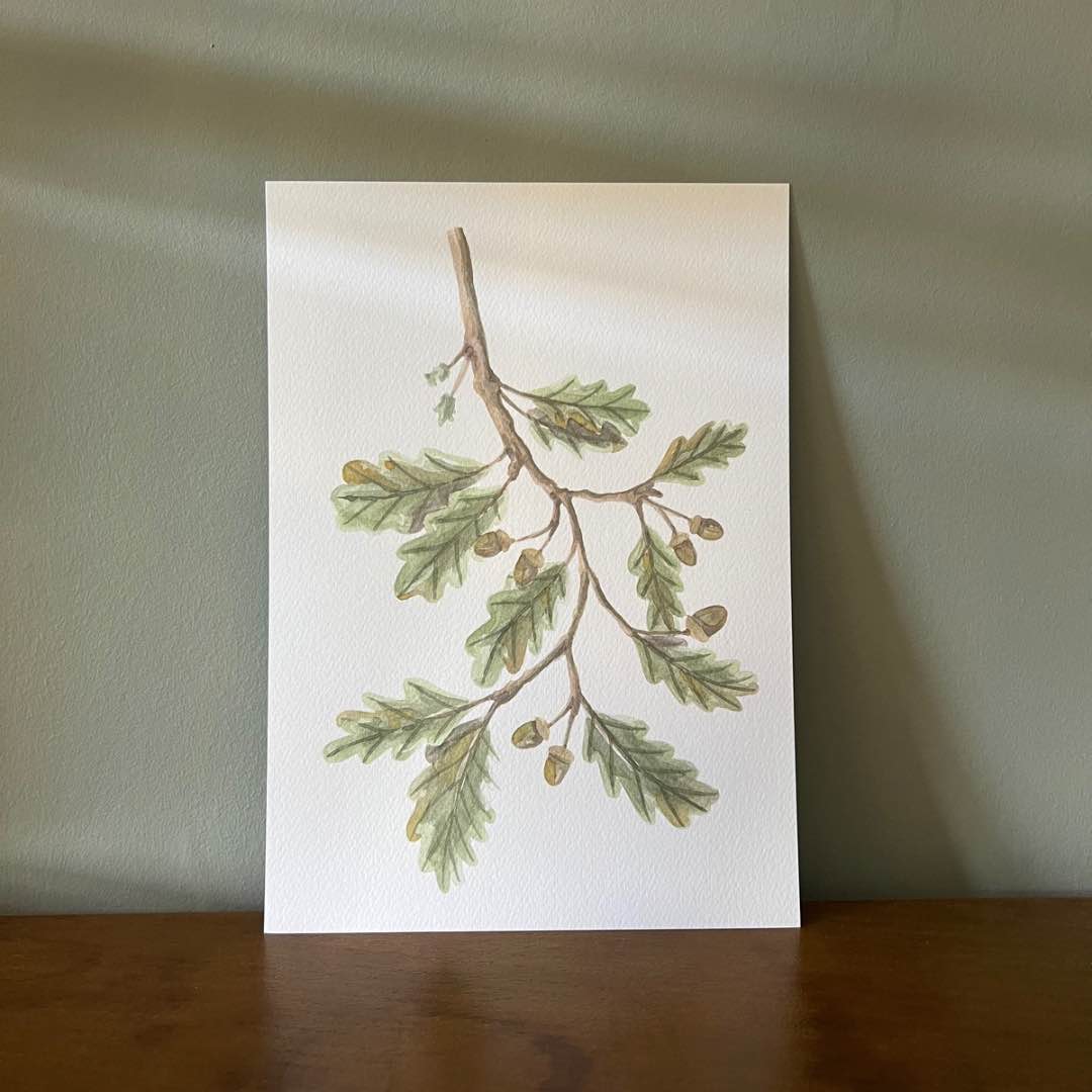 "Acorns" Autumn Print