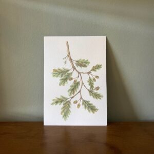 "Acorns" Autumn Mini Print