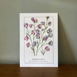 "Sweet Pea" Say it With Flowers Mini
