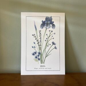"Iris" Say it With Flowers