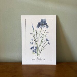 "Iris" Say it With Flowers Mini