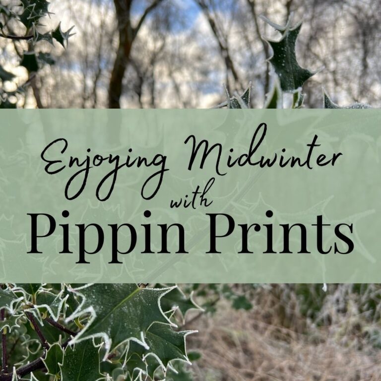 cover image for Enjoying midwinter with Pippin Prints - a monthly round up of january running my small business as an artist, showing some frozen holly leaves with title overlayed
