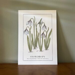 "Snowdrops" Say it With Flowers