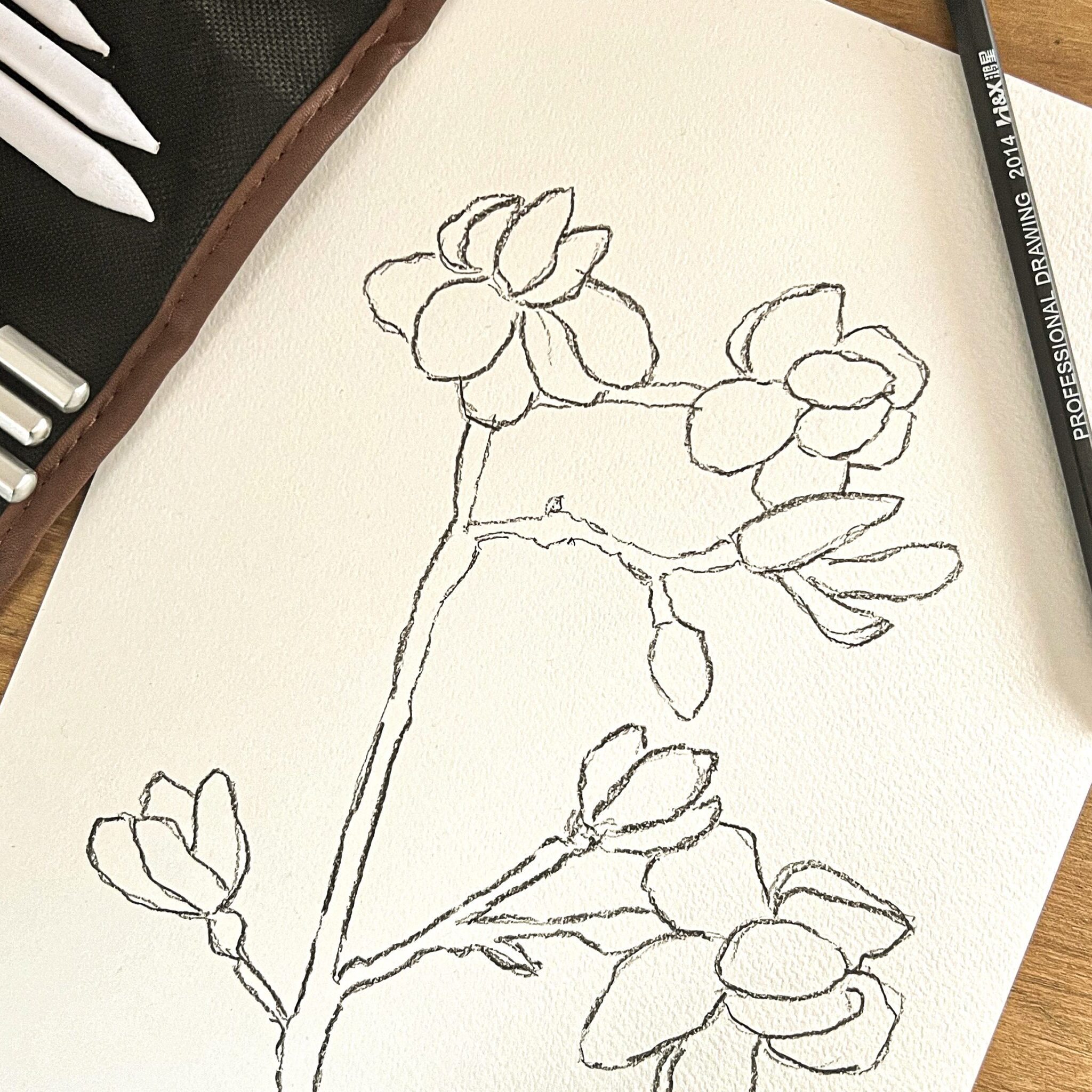 a photo of a pencil sketch of magnolia by emma macdonald the artist behind pippin prints