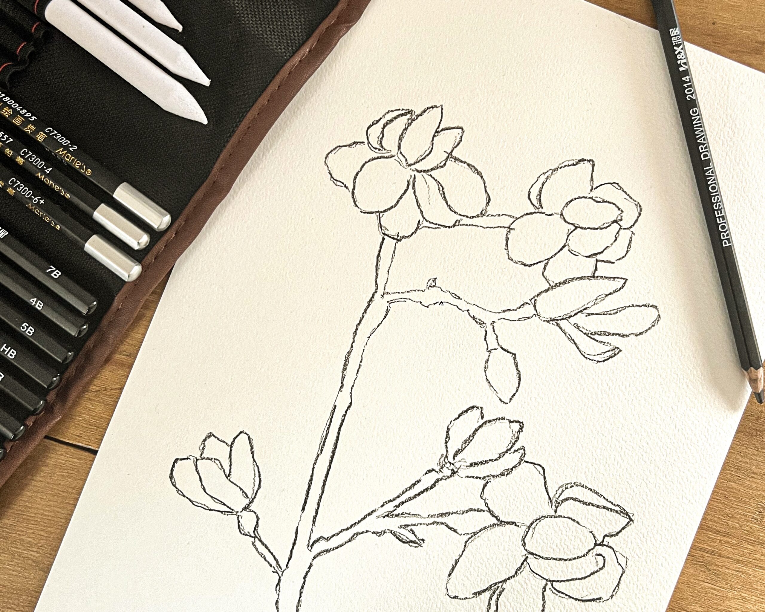 a photo of a pencil sketch of magnolia by emma macdonald the artist behind pippin prints