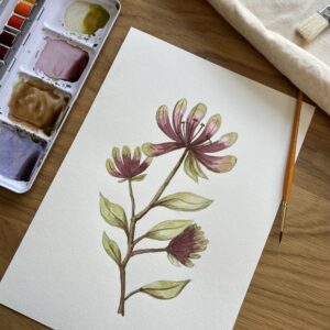 Honeysuckle in June original artwork photo of finished watercolour painting