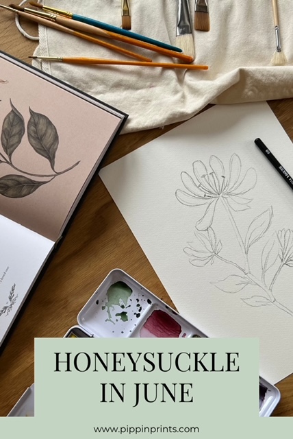 Honeysuckle in June by Pippin Prints pinterest image showing a photo of my honeysuckle sketch, a book used for inspiration, paint brushes and my watercolour paints.