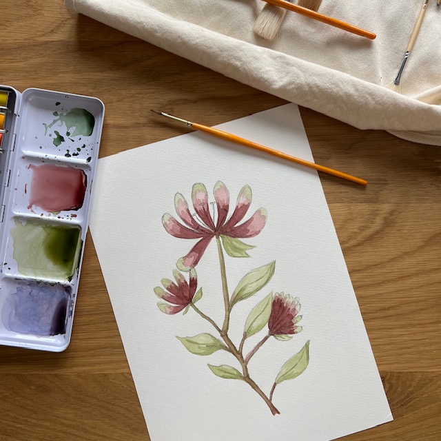 Honeysuckle in June blog post, sharing inspiration for the painting, photo shows my material set up with paper, pencils, paint brushes and watercolour paints with painting half way through the process