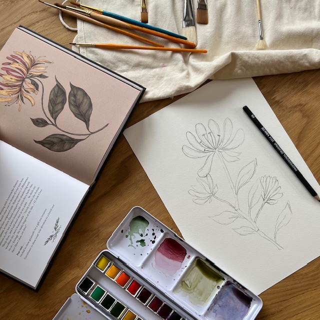 Honeysuckle in June blog post, sharing inspiration for the painting, photo shows my material set up with paper, pencils, paint brushes and watercolour paints and the complete pencil sketch ready to begin painting
