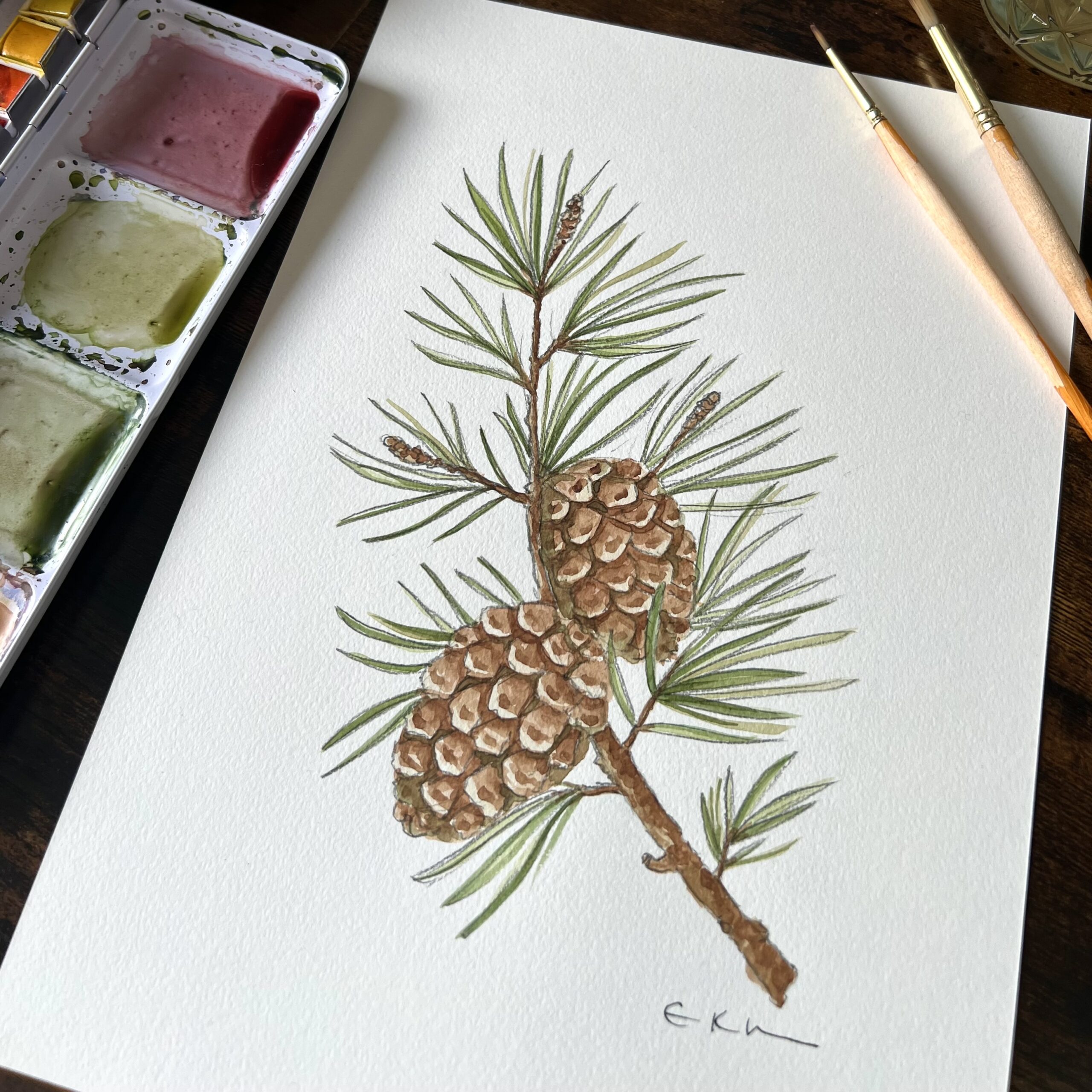 Sprig of Scots Pine - Original Painting - Image 2